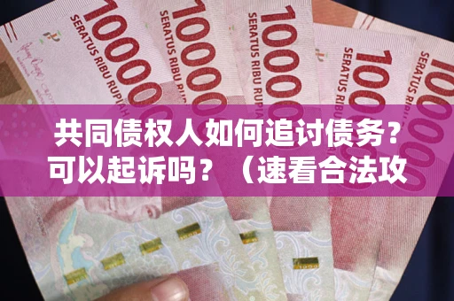 济南共同债权人如何追讨债务？可以起诉吗？（速看合法攻略）
